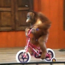 Road Safety.jpg
